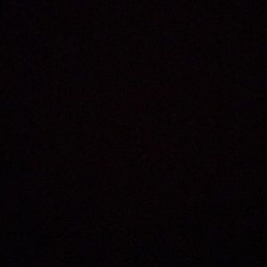 Meet your Posher, Dylan